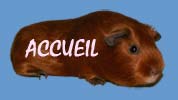 ACCUEIL