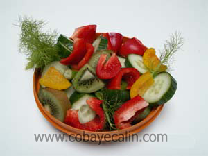 assiette vitamin&eacute;e pour cobaye