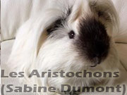 cobaye marquage californien