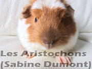 cobaye marquage californien