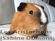 cobaye marquage californien