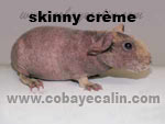 cobaye skinny cr&egrave;me