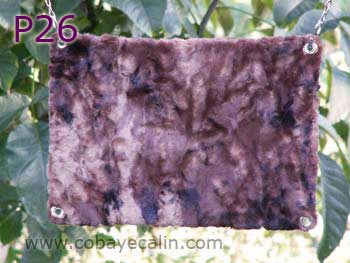 accessoires cochons d'Inde