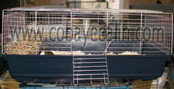 cage de 1 m&egrave;tre neuve &agrave; vendre