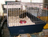 cage neuve &agrave; vendre