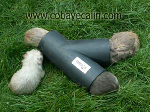 tuyaux pour rongeurs