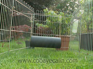 tuyau &agrave; suspendre pou cobaye